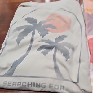 Set Of 3 Graphic Tees American eagle And chubbies